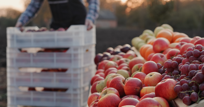 młyny do owoców Uninox